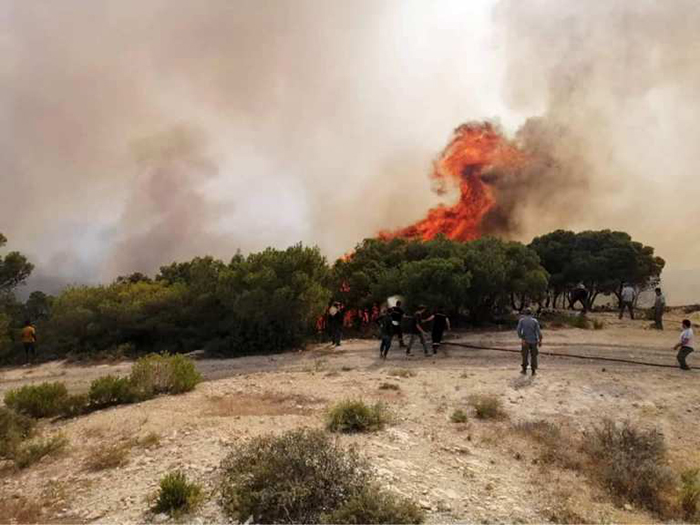 مرناق: تواصل المحاولات لإخماد حريق جبل مقيسم (صور)