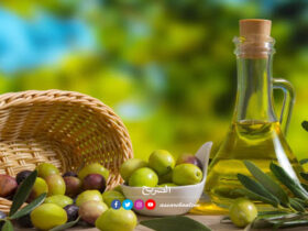 huile-d'olive
