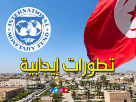 صندوق النقد الدولي تونس