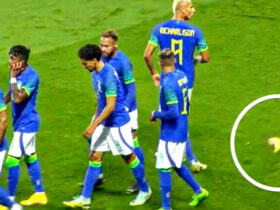 الاتحاد البرازيلي يدين العنصرية ضد ريتشارليسون في مباراة تونس الودية