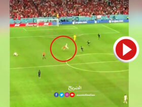 مشجع تونسي يقتحم الملعب